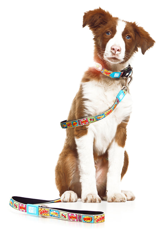 MAX & MOLLY Short Leash - Original Gear Οδηγός Σκύλου 120 cm