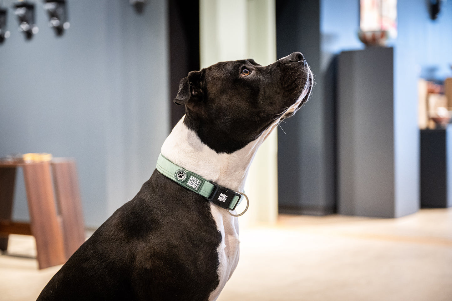 MAX & MOLLY Smart ID Collar - Matrix 2.0 Περιλαίμιο Σκύλου