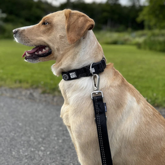 MAX & MOLLY Short Leash - Matrix 2.0 Οδηγός Σκύλου 120 cm