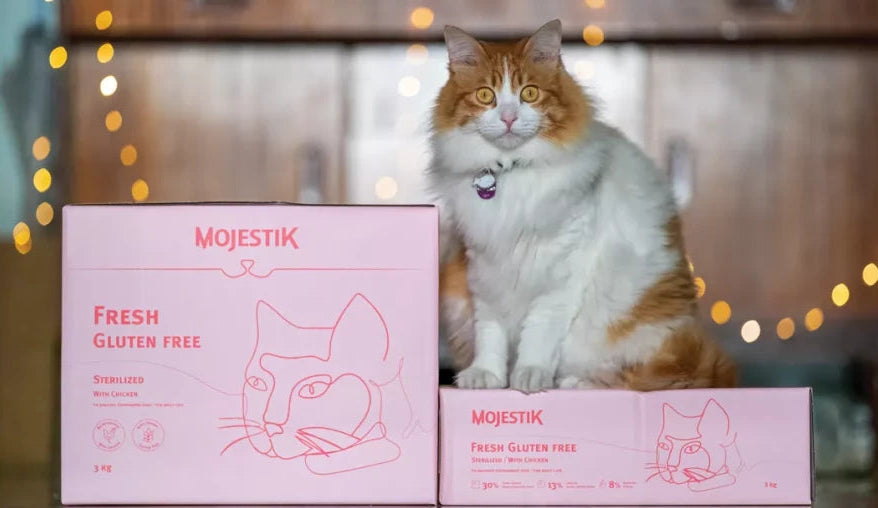 MOJESTIK Fresh Sterilized Ξήρη Τροφή Γάτας