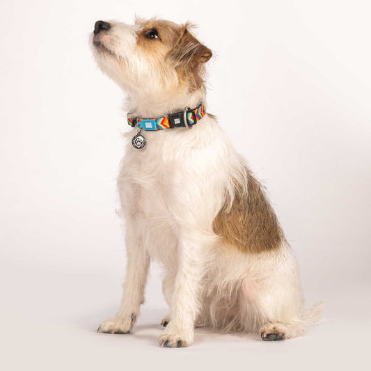 MAX & MOLLY Smart ID Collar - Original Gear Περιλαίμιο Σκύλου