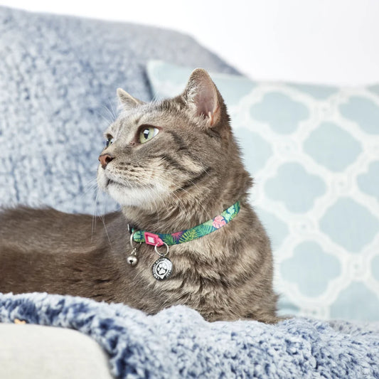MAX & MOLLY Smart ID Collar - Original Gear Περιλαίμιο Γάτας