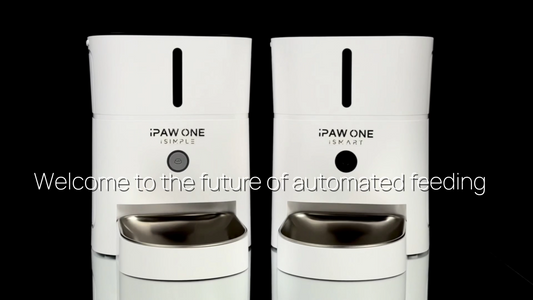 iPAW ONE Automatic Feeder iSimple 3L