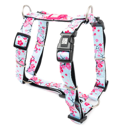 MAX & MOLLY H-Harness - Original Gear Σαμαράκι Σκύλου