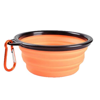 Collapsible Bowl
