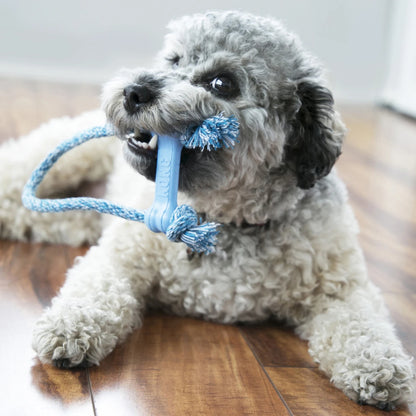 KONG Παιχνίδι Σκύλου Puppy Goodie Bone με Σχοινί - XSmall