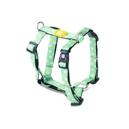 MAX & MOLLY H-Harness - Original Gear Σαμαράκι Σκύλου