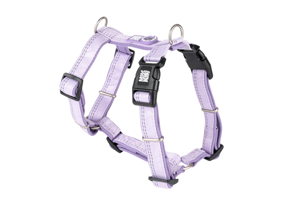 MAX & MOLLY Comfort H-Harness - Matrix 2.0 Σαμαράκι Σκύλου