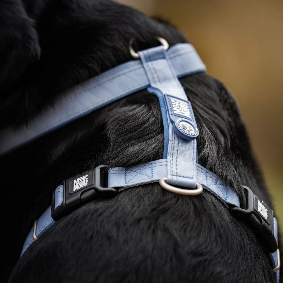 MAX & MOLLY Comfort H-Harness - Matrix 2.0 Σαμαράκι Σκύλου