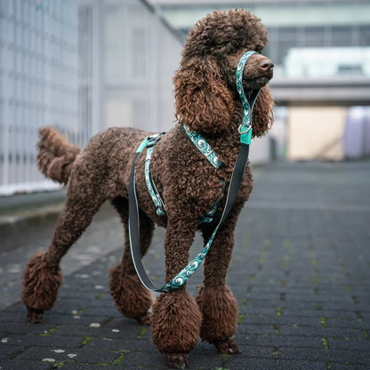 MAX & MOLLY Smart ID H-Harness - Original Gear Σαμαράκι Σκύλου