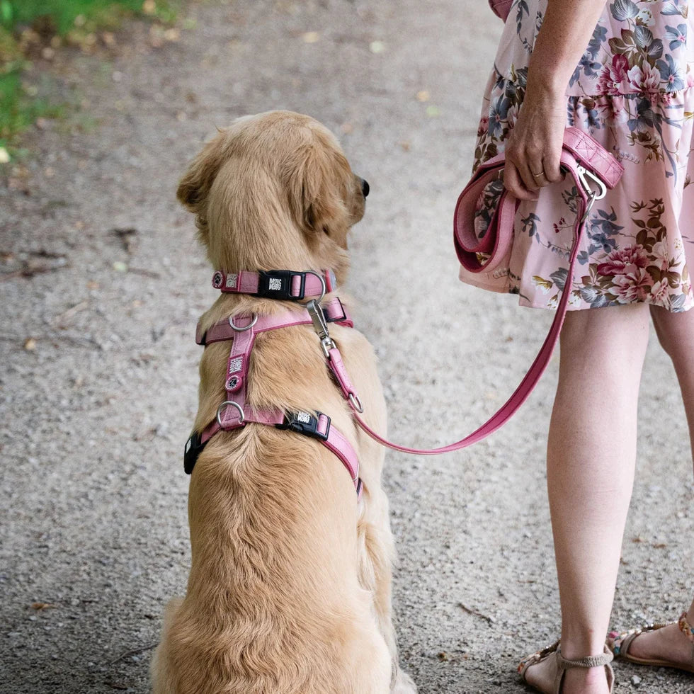 MAX & MOLLY Comfort H-Harness - Matrix 2.0 Σαμαράκι Σκύλου