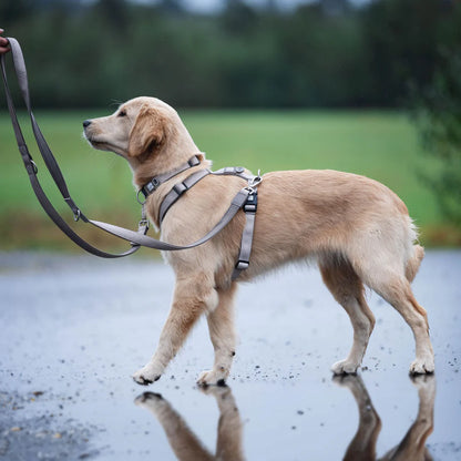 MAX & MOLLY Comfort H-Harness - Matrix 2.0 Σαμαράκι Σκύλου