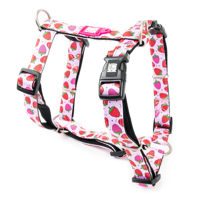 MAX & MOLLY H-Harness - Original Gear Σαμαράκι Σκύλου