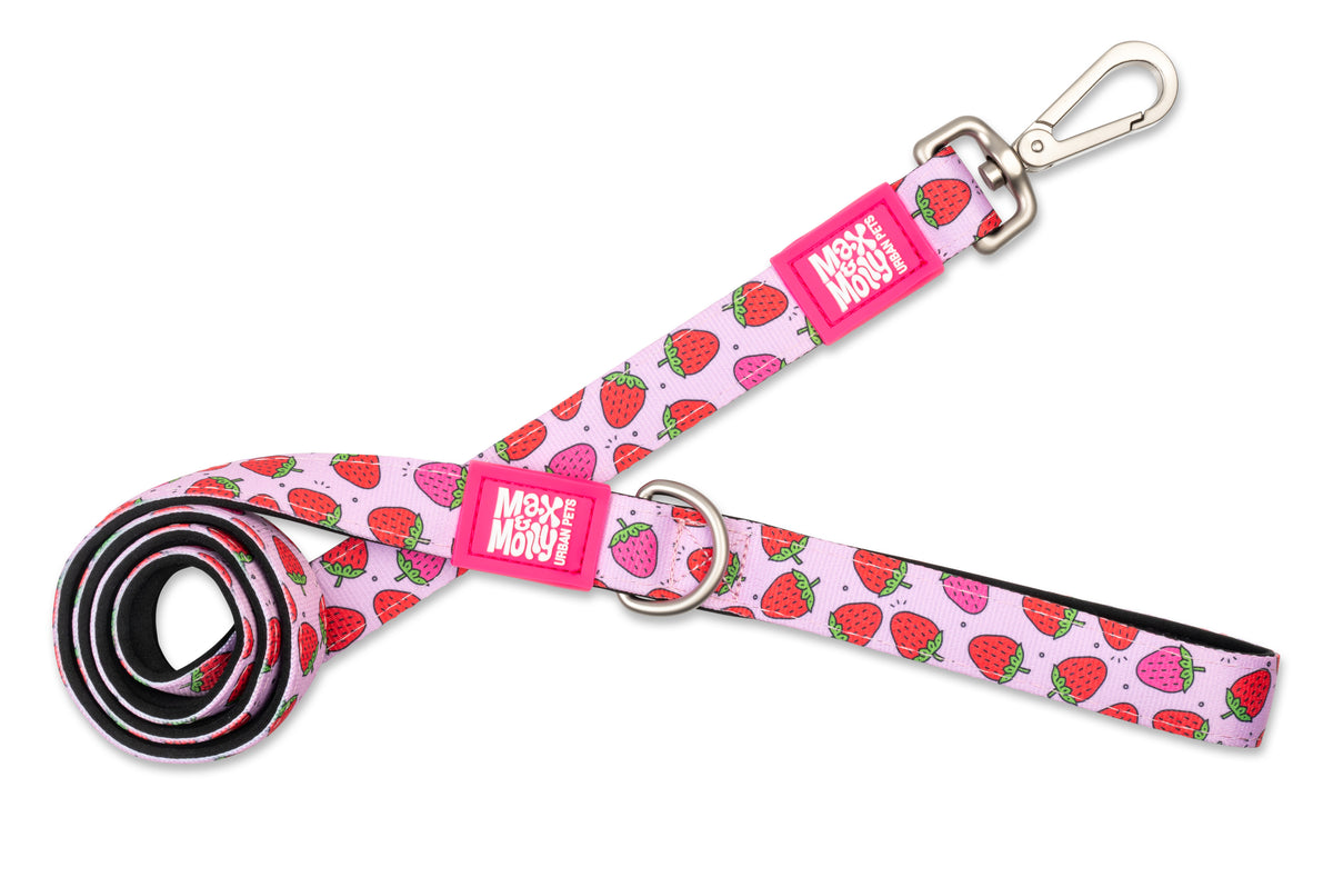 Max & Molly Original Gear Short Dog Leash in Strawberry Dream Design