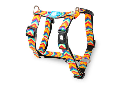 MAX & MOLLY H-Harness - Original Gear Σαμαράκι Σκύλου