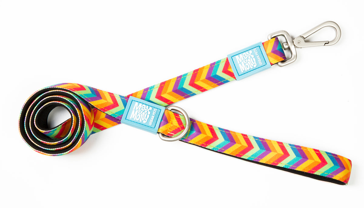 Max & Molly Original Gear Short Dog Leash in Summertime Design