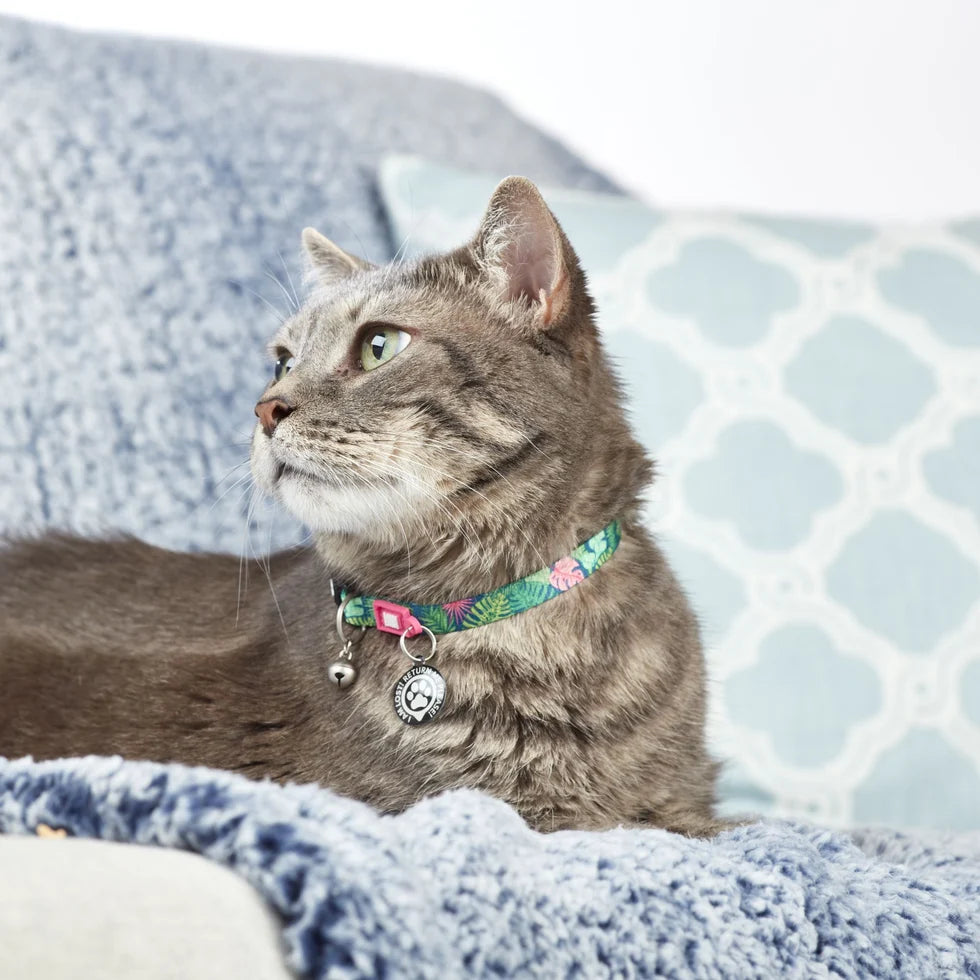 MAX & MOLLY Smart ID Collar - Original Gear Περιλαίμιο Γάτας