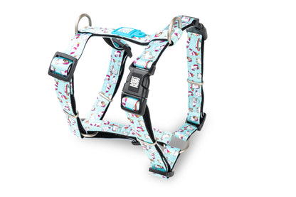 MAX & MOLLY H-Harness - Original Gear Σαμαράκι Σκύλου
