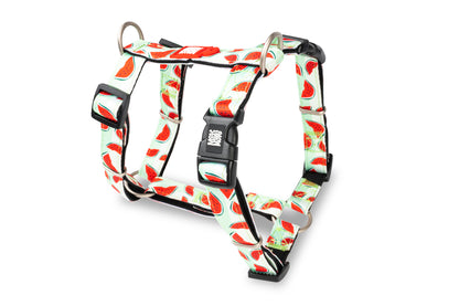 MAX & MOLLY H-Harness - Original Gear Σαμαράκι Σκύλου