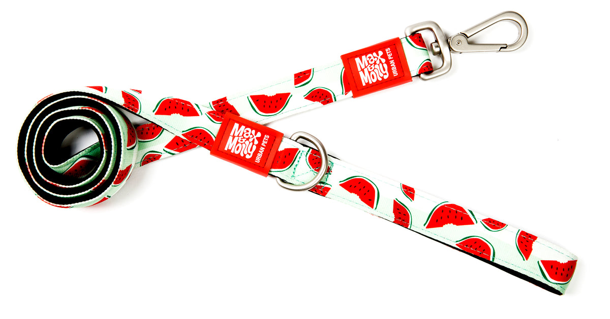 Max & Molly Original Gear Short Dog Leash in Watermelon Design