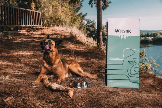 MOJESTIK Super Premium Gluten Free Adult Dog Food