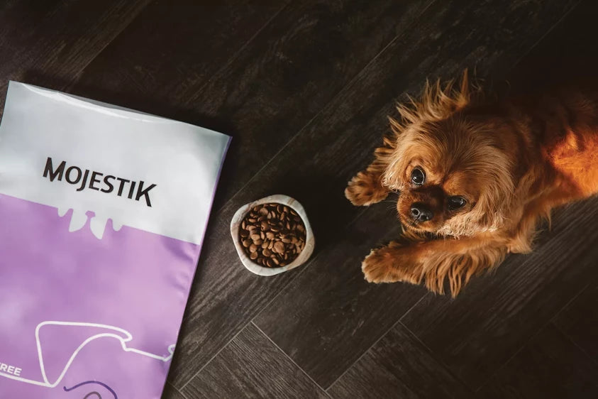 MOJESTIK Super Premium Gluten Free Light & Senior Dog Food