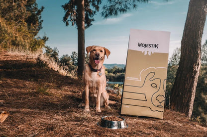 MOJESTIK Super Premium Grain Free Adult Ξήρη Τροφή Σκύλου