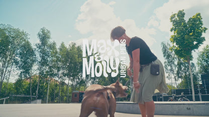 MAX & MOLLY Rope Leash - Matrix 2.0 Οδηγός Σκύλου 2m