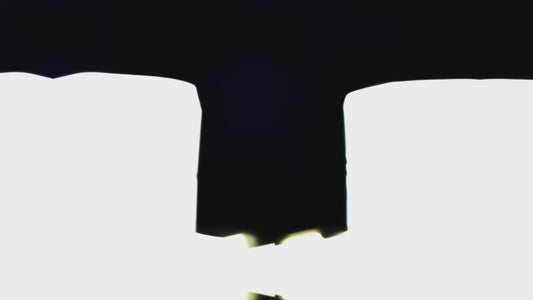 iPAW ONE Automatic Feeder iSmart 3L