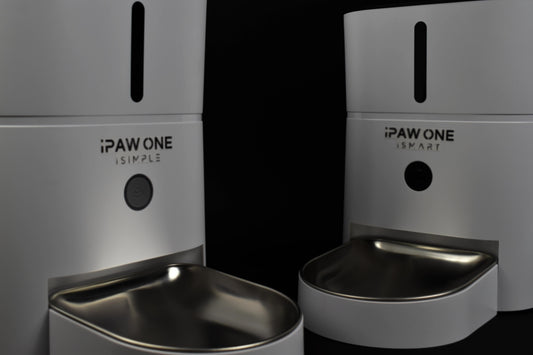 ipawtech video intro