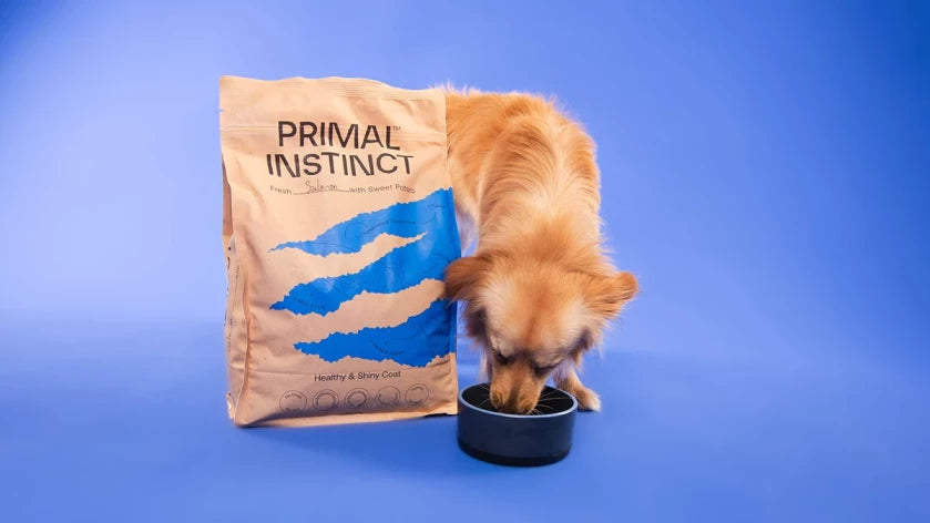 PRIMAL INSTINCT Healthy & Shiny Coat Dog Food 5kg